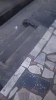 Hoverboard for Home Use - 5