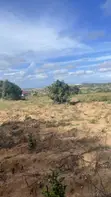 22 Plots for Sale at Gomoa Domenase - 3