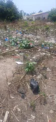 Fully Registered 1.5 Plots Land for Sale in Kasoa Roman - 3