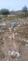Fully Registered 1.5 Plots Land for Sale in Kasoa Roman - 4