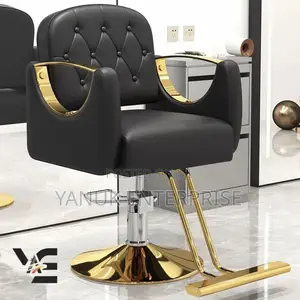 Brand New Salon Chair