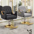 Brand New Salon Chair - 2