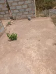 3-Bedroom Uncompleted House for Sale in Accra Metropolitan - 2