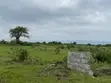 Full Plot of Land for Sale in Shai Hills Dedenya - 1