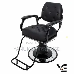 Brand New Salon/Barber Chair