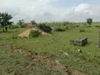 Shai Hills Dedenya Residential Plot - 70x100ft - 2