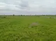 Serviced 70x50ft Half Plot for Sale at Shai Hills Dedenya - 1