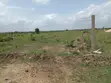 Serviced 70x50ft Half Plot for Sale at Shai Hills Dedenya - 2