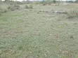 Serviced 70x50ft Half Plot for Sale at Shai Hills Dedenya - 3