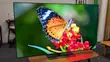 LG OLED 55-inch G5 Evo 4K UHD Smart TV - 3