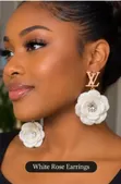 Fashion Earrings for All Occasions - 1