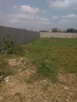 2 Plots Verified Traditional Authority Indenture for Sale, Lashibi - 1