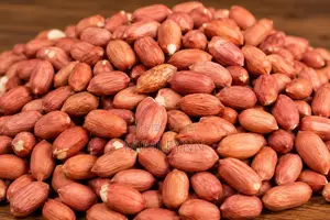 Raw Peanuts (Groundnuts) - Bulk Supply