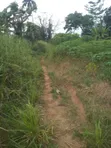 Farm Land for Sale - Ayensuano - 2