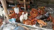 Matured Free-Ranged Chickens - 4