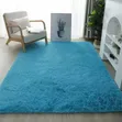 Plush Carpet - 3
