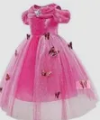 Butterfly Princess Costume for Girls - 2