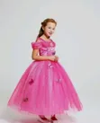 Butterfly Princess Costume for Girls - 4