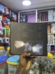 Brand New Photography Fill Light ZGRL-80 - 1