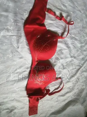 Bookba Brassieres - Red, Used