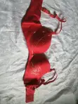 Bookba Brassieres - Red, Used - 1