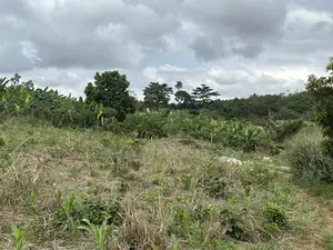 Plot of Land for Sale at Santasi-Darko