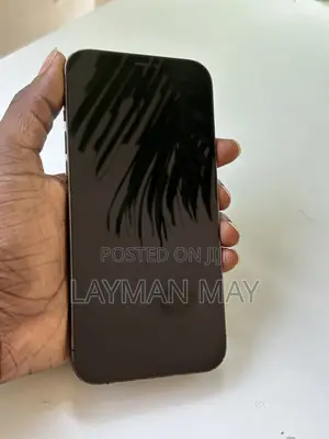 Apple iPhone 12 Pro Max 256GB Gray