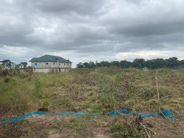 Title Plot of Land for Sale in Danchira - 1