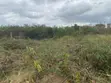 Title Plot of Land for Sale in Danchira - 5