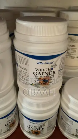 WinsTown Weight Gainer - High Protein Supplement (450g)