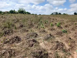 1 Plot of Residential Land for Sale in Buduatta