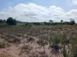 1 Plot of Residential Land for Sale in Buduatta - 2