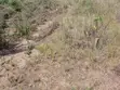 1 Plot of Residential Land for Sale in Buduatta - 4