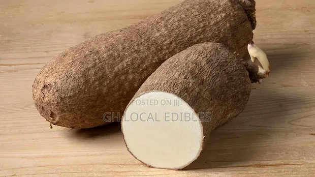 Fresh Organic Yam Tubers - 1