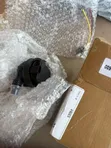 Auxiliary Water Pump for Mercedes-Benz C-Class, S-Class, GLC - 2