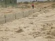 Half Plot Near Proposed Airport, Tsopoli - 3