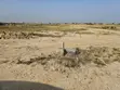 Half Plot for Sale at SkyPort City, Tsopoli - 4