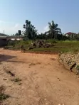 82x122ft Plot of Land for Sale at Ashongman Estates - 2