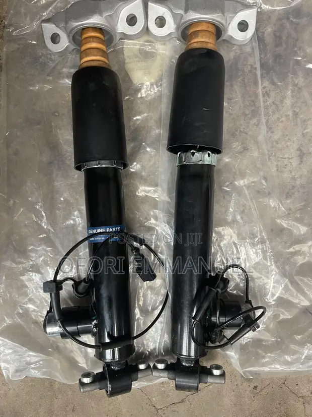 Lincoln MKZ Rear Shocks - Brand New - 1