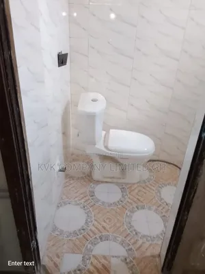 Professional Plumbing Services
