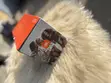 JBL Charge 6 Speaker - 1