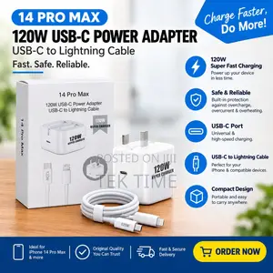 Apple iPhone Charger