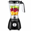 Hoffmans HM-2101 Electric Blender - 2