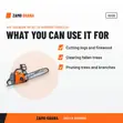 Oleomac 40V Cordless Chainsaw - GSI30 - 3