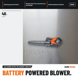 Oleomac 40V Cordless Blower - BVI60