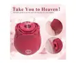 Rose Sucker Clitoral Vibrator for Women - 3
