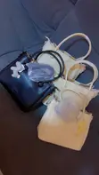 Luxury Ladies Handbags - Brand New - 3