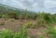 Land for Sale at Ashongman Boi - 1