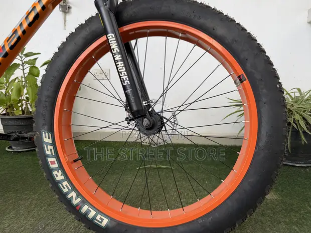 Fat Tire Mountain Bike - 1