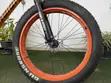 Fat Tire Mountain Bike - 1